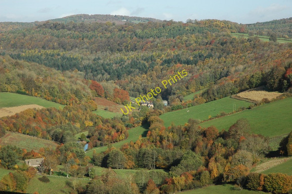 Photo 6"x4" Glyn Farm Newland\/SO5509 c2010