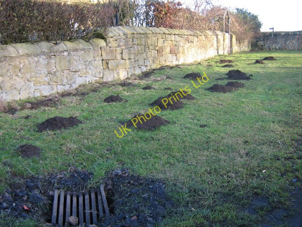 Photo 6"x4" Mole hills Broxfield c2007