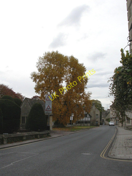 Photo 6"x4" Painswick, maple tree Painswick c2010