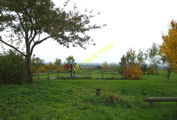 Photo 6"x4" View in the Park East Horndon c2010
