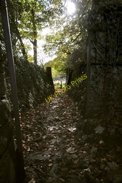 Photo 6"x4" A footpath at Fremington passing through a passage Fremington\/SS5132 c2010