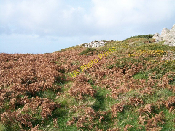 Photo 6"x4" Bracken infestation at Pen y Cil head Uwchmynydd c2010