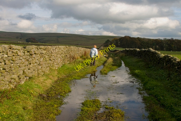 Photo 6"x4" New Pasture Lane Long Preston c2010 P1