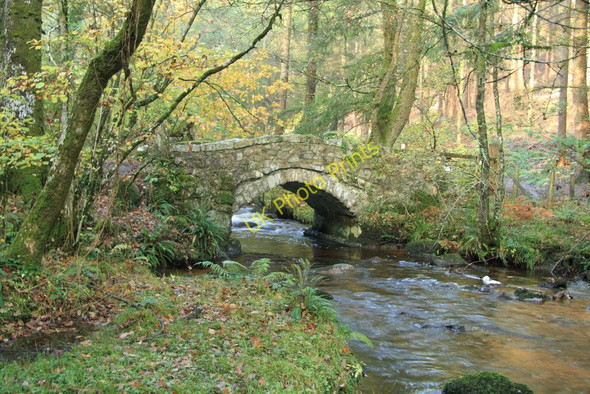 Photo 6"x4" Bridge over Becka Brook Lustleigh c2010