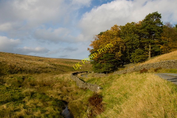 Photo 6"x4" Langber Lane and Plantation Long Preston c2010