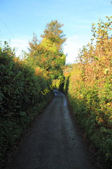 Photo 6"x4" Dartmoor Way Lustleigh Cleave c2010