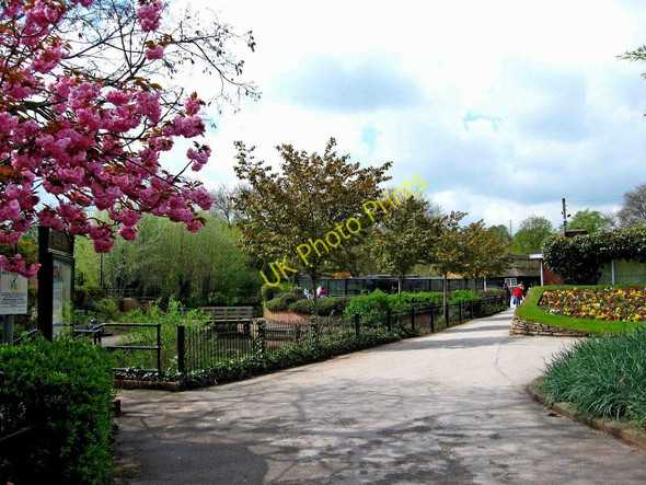 Photo 6"x4" Victoria Park (3) - General view Stafford c2010