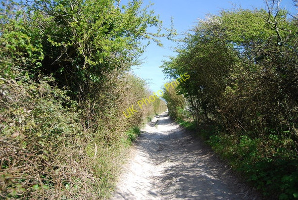 Photo 6"x4" Bridleway to Folkington Wilmington\/TQ5404 c2010