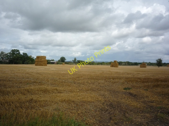 Photo 6"x4" Over fields towards Alne Station Alne c2010
