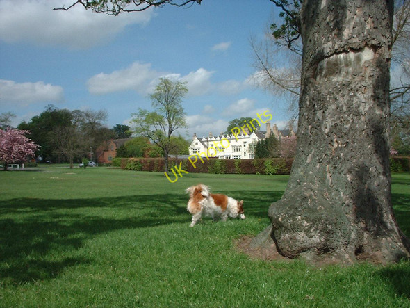 Photo 6"x4" Pype Hayes Park and Hall Pype Hayes c2005