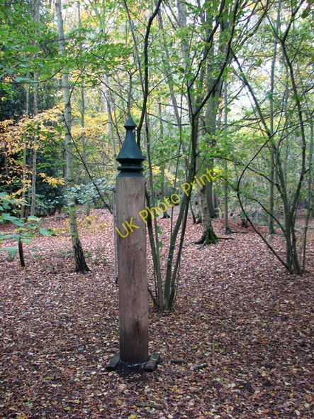 Photo 6"x4" Object on the puzzle trail on Dunston Common Dunston\/TG2202 c2010