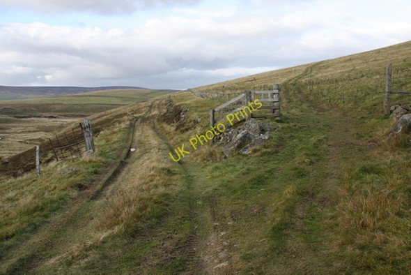 Photo 6"x4" Track junction below White Hill Burn of Bank c2010