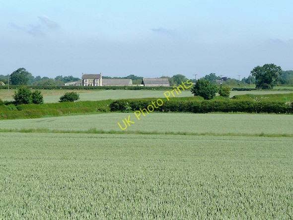 Photo 6"x4" Across the barley fields near Market Bosworth, Leicestershire Far Coton c2010