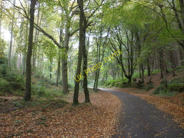 Photo 6"x4" The road up to Hopcott Common Minehead c2010