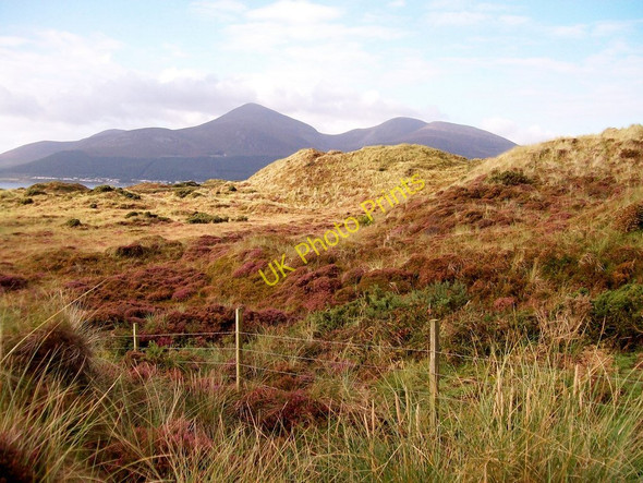 Photo 6"x4" Dunes at Murlough National Nature Reserve Newcastle\/J3732 c2010