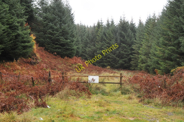 Photo 6"x4" Fence at the forest edge at Pass of Melfort Melfort c2010