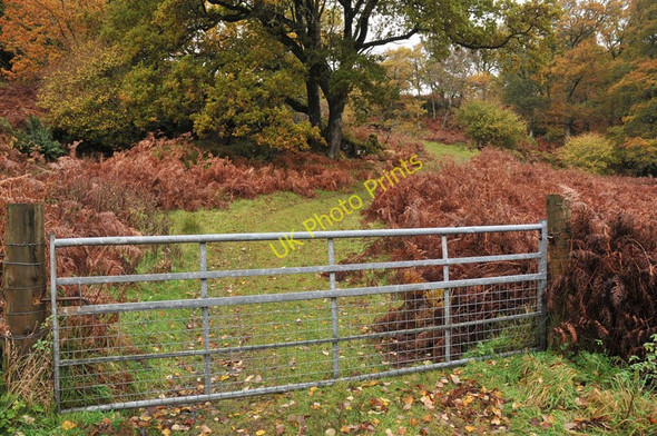 Photo 6"x4" Track near Ardanstur Melfort c2010