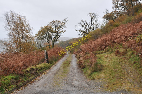Photo 6"x4" End of the public road near Degnish Arduaine c2010