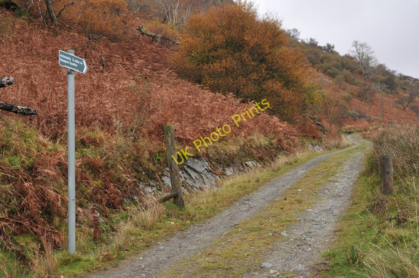 Photo 6"x4" Hill track to Ardmaddy Arduaine c2010