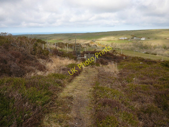 Photo 6"x4" Ladder Stile on path on northwestern edge of Glion Gill Plantation Barregarrow c2010