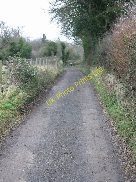 Photo 6"x4" View along lane near Well Wood Womenswold c2007