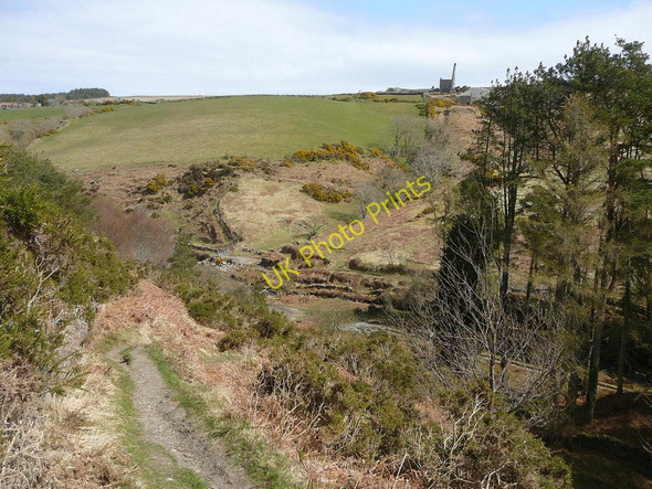 Photo 6"x4" Bayr ny Skeddan Path below Creg ny Crock Plantation Ballelby c2010