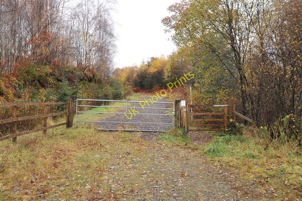 Photo 6"x4" Gated woodland track near Spean Bridge Alltour c2010