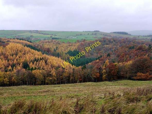 Photo 6"x4" Allendale from Gingle Pot Langley\/NY8261 c2010