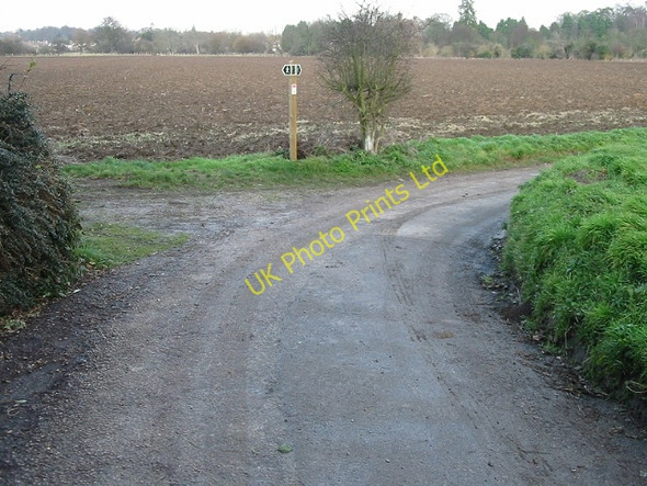 Photo 6"x4" Three way footpath Bishopsbourne c2007