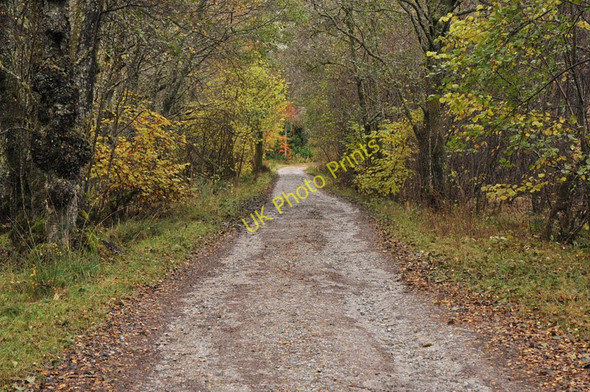 Photo 6"x4" Farm road to Coire Choille Farm Inverroy c2010