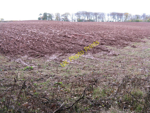 Photo 6"x4" Old Red Sandstone soil Luggate Burn c2010