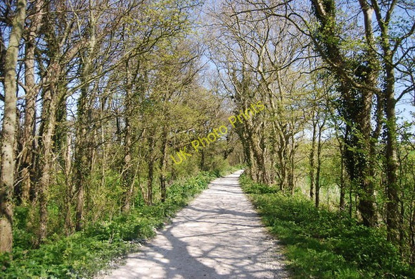 Photo 6"x4" The Wealdway Folkington c2010