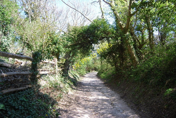Photo 6"x4" The Wealdway Folkington c2010