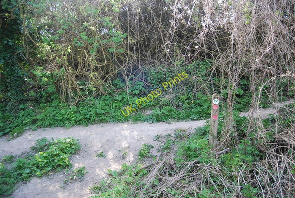 Photo 6"x4" Waymarker by the Wealdway Jevington c2010