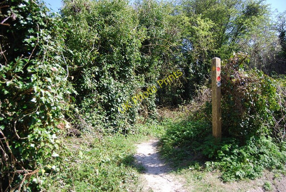Photo 6"x4" Waymarker by the Wealdway Jevington c2010