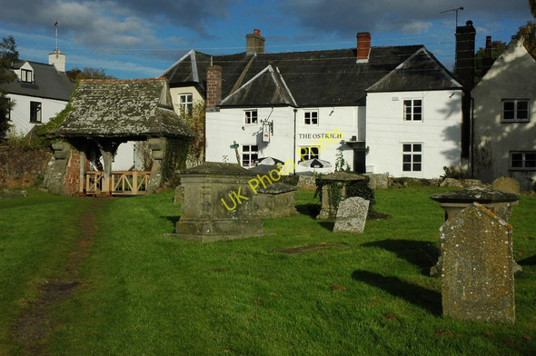 Photo 6"x4" The Ostrich, Newland Newland\/SO5509 c2010