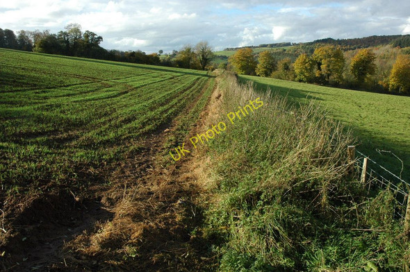 Photo 6"x4" Footpath to Redbrook Redbrook\/SO5310 c2010
