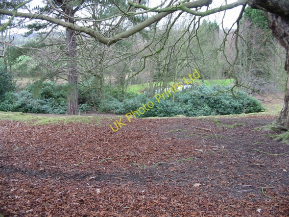 Photo 6"x4" Grounds of The Rookery from Southenay Lane Lilyvale\/TR0839 c2007
