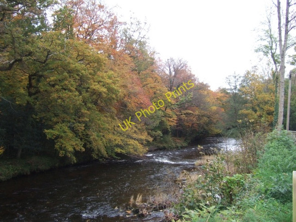 Photo 6"x4" River Dart above Austin's Bridge Buckfastleigh c2010