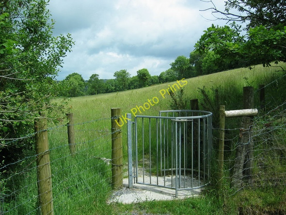Photo 6"x4" Gat Mochyn  \/ Kissing Gate, Llanpumsaint Pontarsais c2009