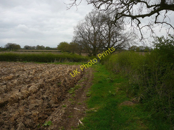 Photo 6"x4" Footpath leading to kissing gate near Rough Wood Yeldersley Hollies c2010