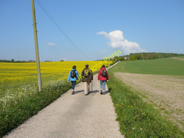 Photo 6"x4" Drive leading from East Meon towards Halnaker Lane Coombe\/SU6620 c2010