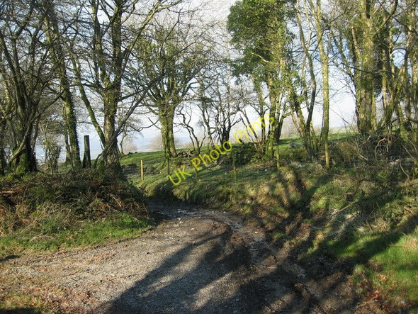 Photo 6"x4" Ffarm Highgate Farm, Gwyddgrug Gwyddgrug c2008