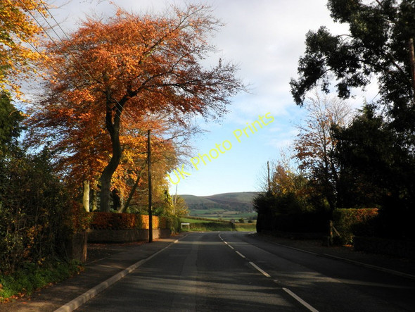 Photo 6"x4" Tower Hill, Williton Sampford Brett c2010