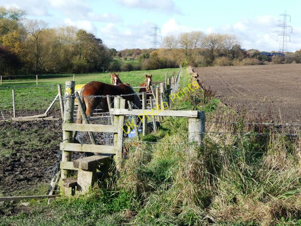 Photo 6"x4" Footpath along the field edge Haigh Moor c2010