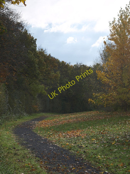 Photo 6"x4" Rain Approaching Renhold c2010