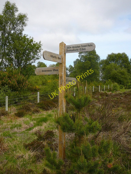 Photo 6"x4" Way marker on the Great Glen Way where it crosses minor road Abriachan c2010