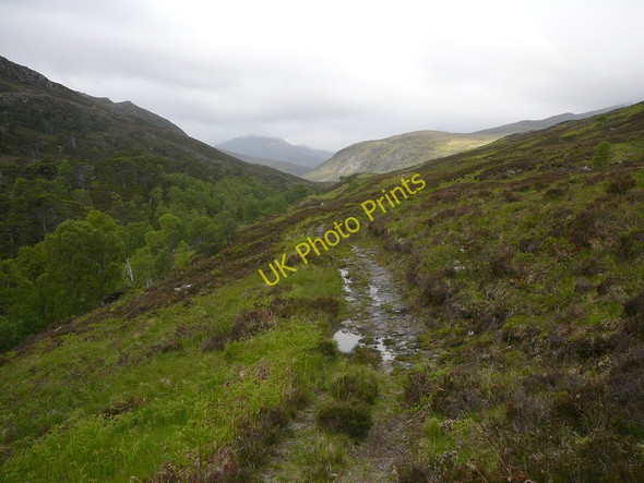 Photo 6"x4" Hill path above Allt na h-Imrich Coille Ruigh na Cuileige c2010