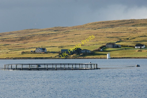 Photo 6"x4" Rockfield and the Uyeasound light Uyeasound c2010