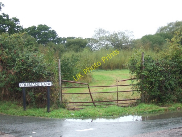 Photo 6"x4" Field at the junction of Colemans Lane with Whitehouse Road Forest Side\/SZ4789 c2010